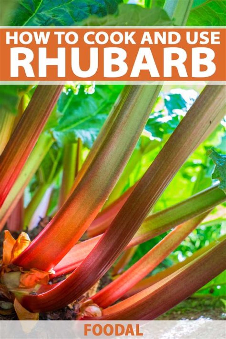 Why do people eat rhubarb