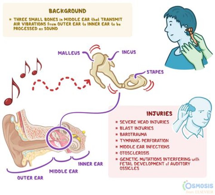Why does my ear feel warm and wet inside?