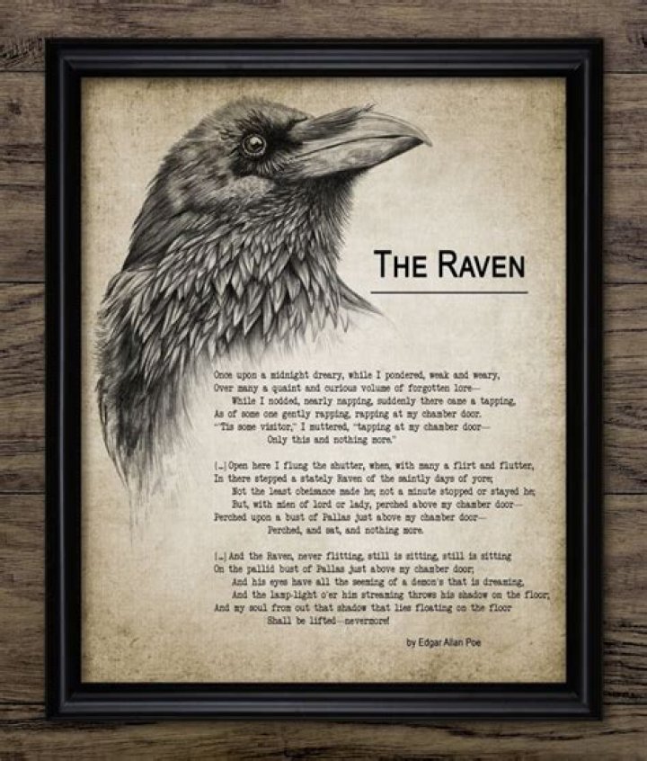 Why does Poe use a raven as the bird who visits the grieving speaker of the poem The Raven