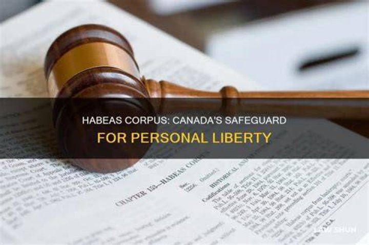 why is habeas corpus important