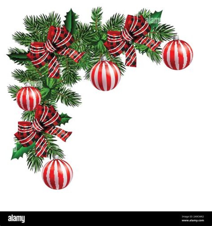 Why is Holly prickly