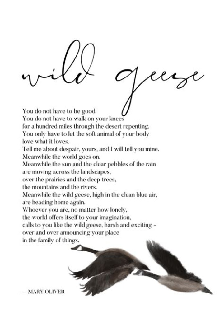 wild geese mary oliver