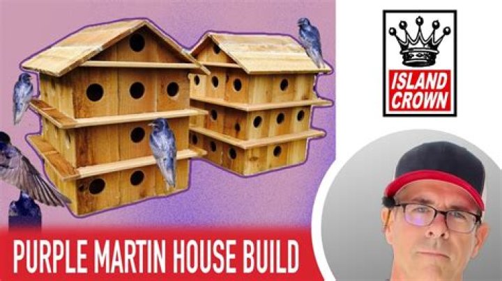 Will barn swallows use a purple martin house
