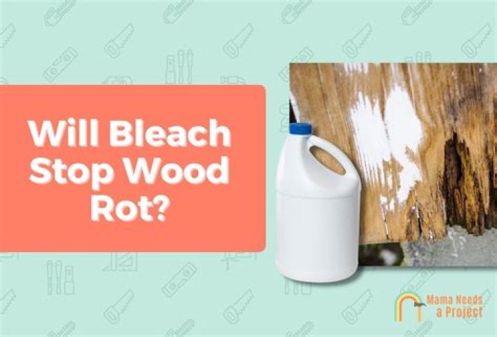 will bleach stop wood rot