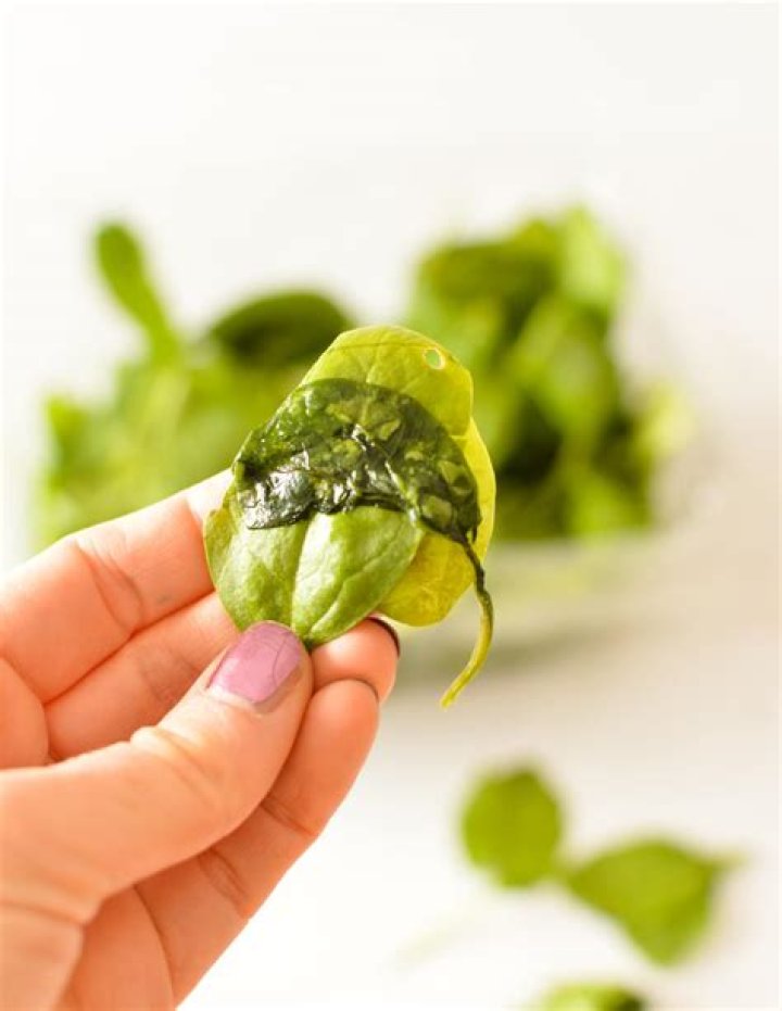 Will eating bad spinach make you sick?