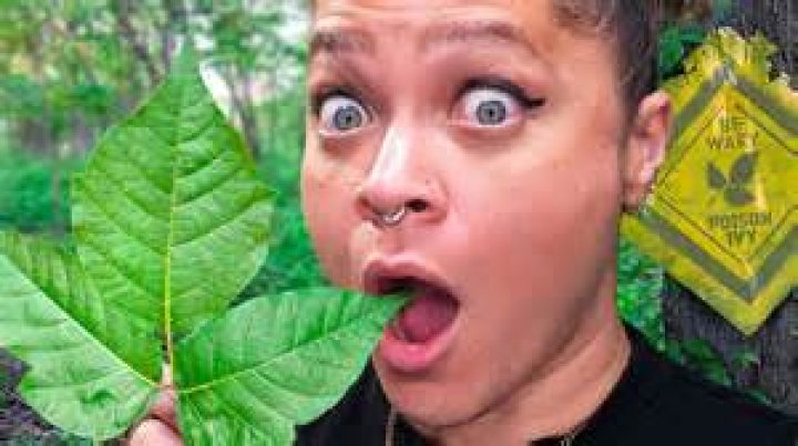 Will rats eat poison