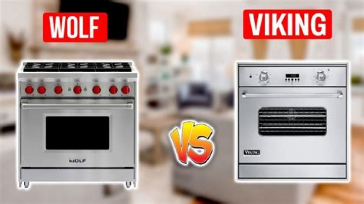 wolf vs viking