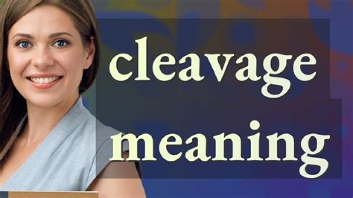 women’s cleavage definition