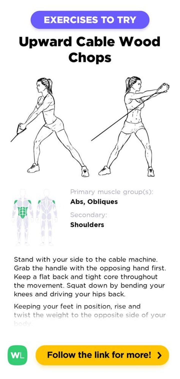 wood chops target muscles