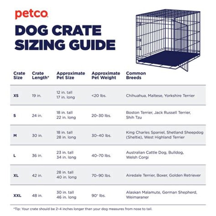 xl dog crate size