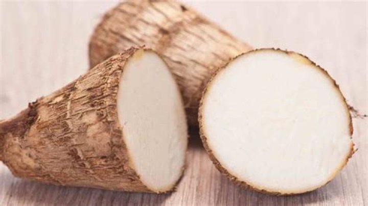yautia